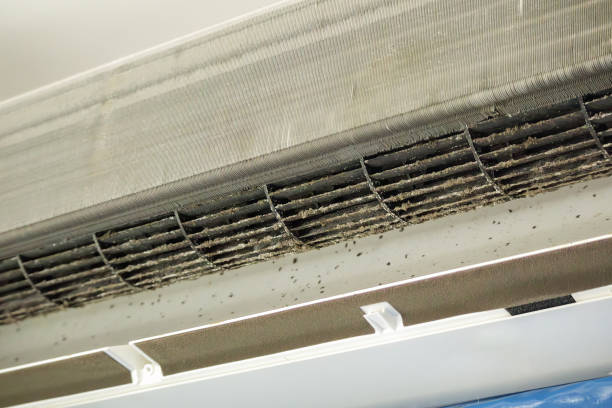 Best Air Duct Mold Removal  in Southern Gateway, VA
